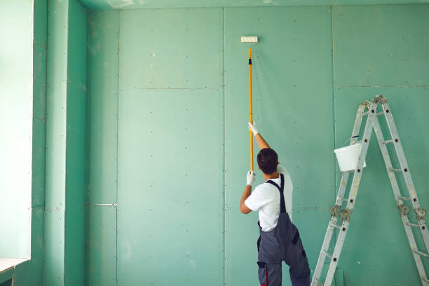 Colfax, CA Mold Removal Company