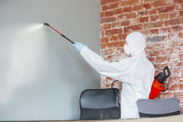 Best Mold Damage Restoration  in Colfax, CA