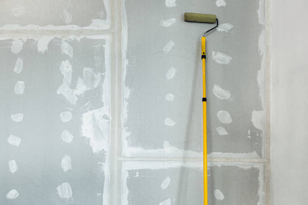 Best Basement Mold Removal  in Colfax, CA