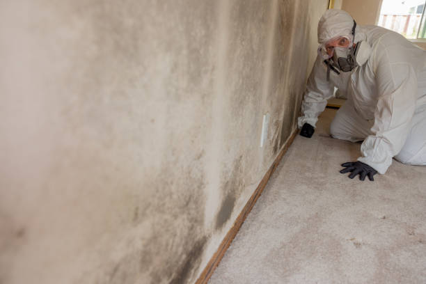 Best HVAC Mold Inspection and Cleaning  in Colfax, CA